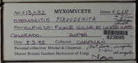 Image Associated With the Occurence